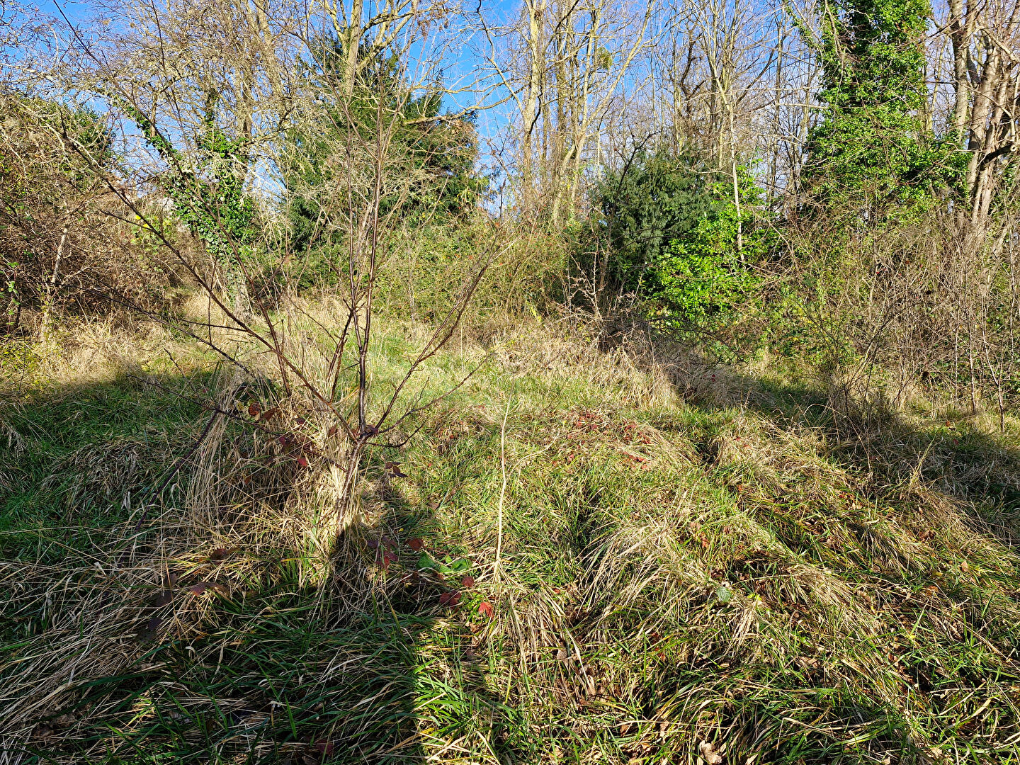 Terrain YERRES (91330) 800.00 m²