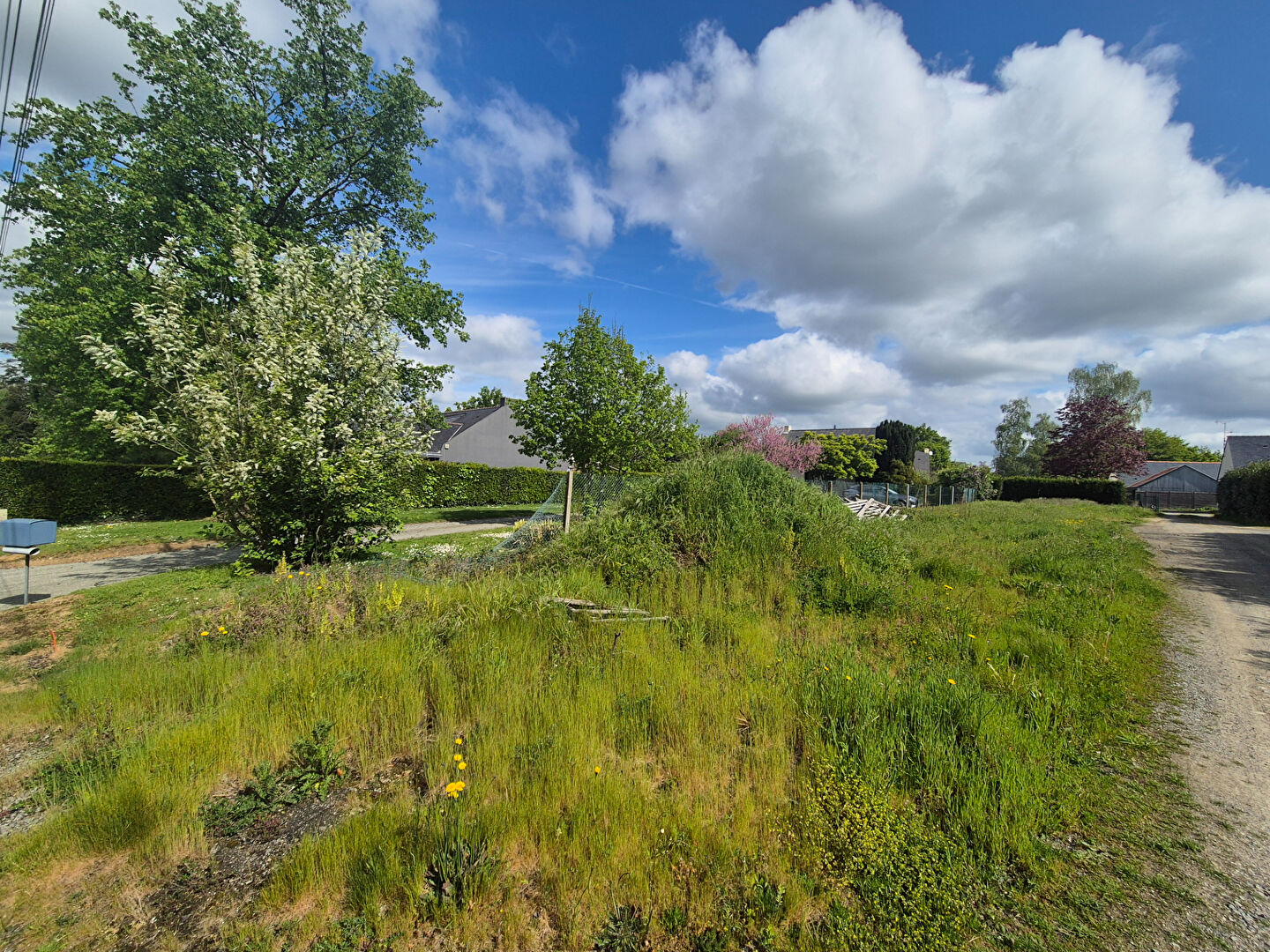 Terrain LA CHAPELLE SUR ERDRE (44240) 556.00 m²