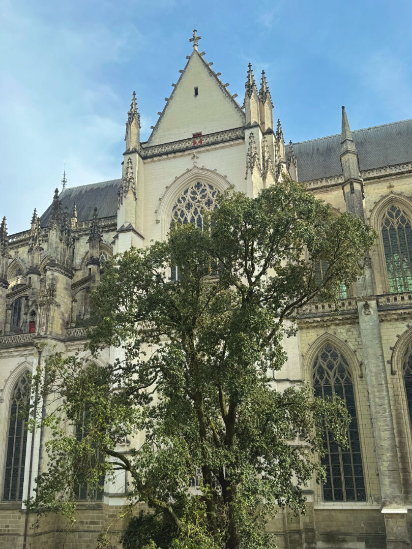 Appartement NANTES (44000) 5 pi&egrave;ces 147.07 m&sup2;
