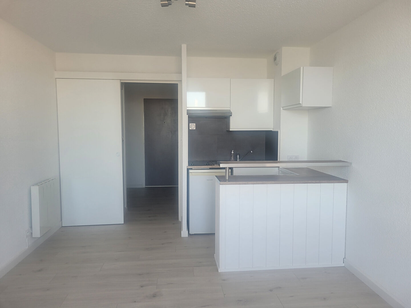 Appartement LES SABLES D OLONNE (85100) 1 pièce 24.19 m²