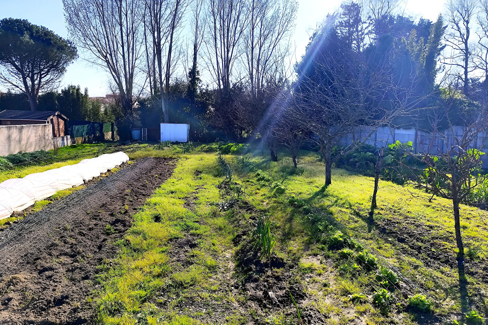 Terrain LES SABLES D OLONNE (85340) 970.00 m&sup2;