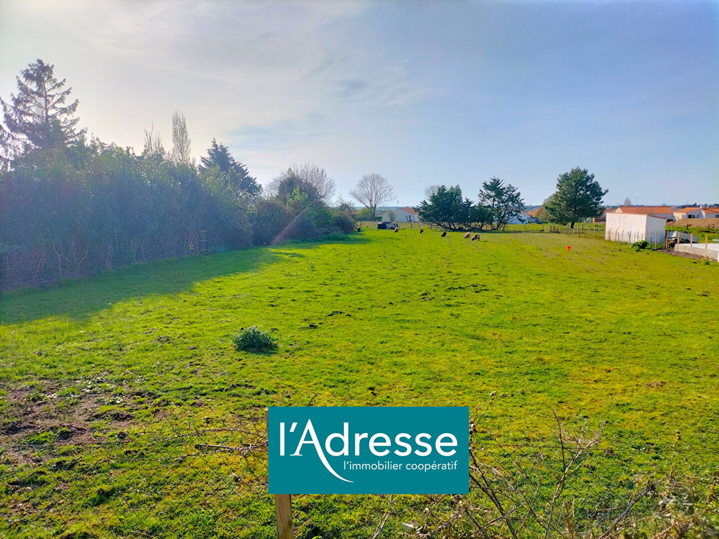 Terrain Beauvoir sur mer (85230) 3064.00 m²