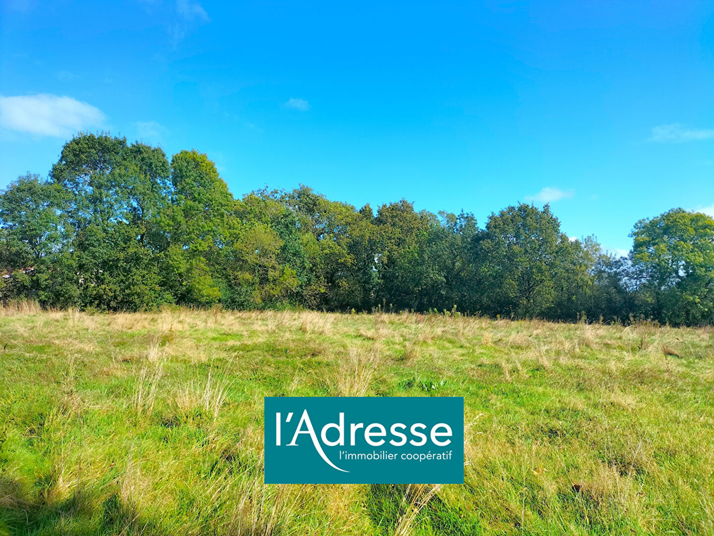 Terrain saint GERVAIS (85230) 426.00 m²