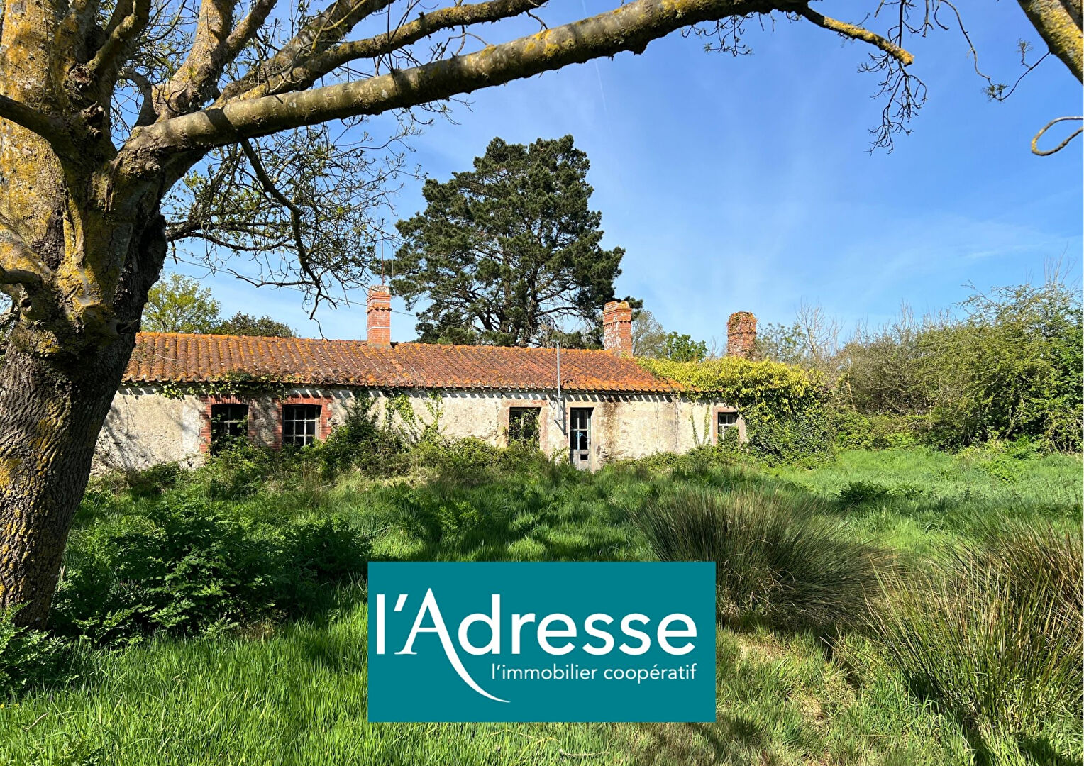 Maison SAINT GERVAIS (85230) 4 pièces 140.00 m²