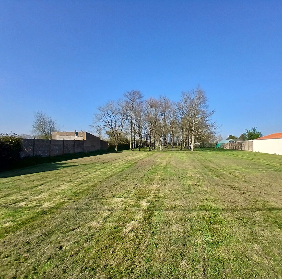 Terrain SAINT CYR EN RETZ (44580) 570.00 m²