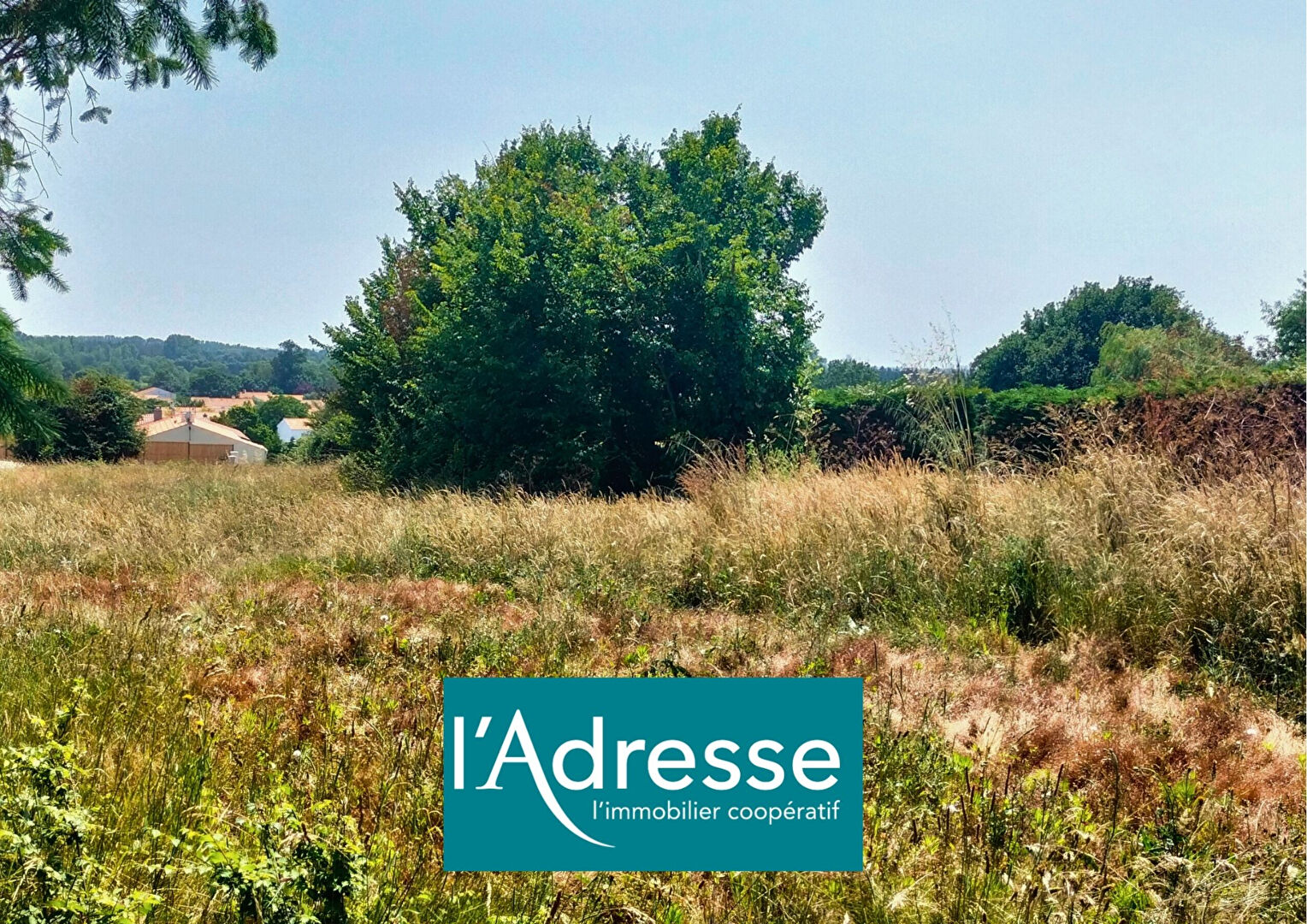 Terrain SAINT GERVAIS (85230) 483.00 m²