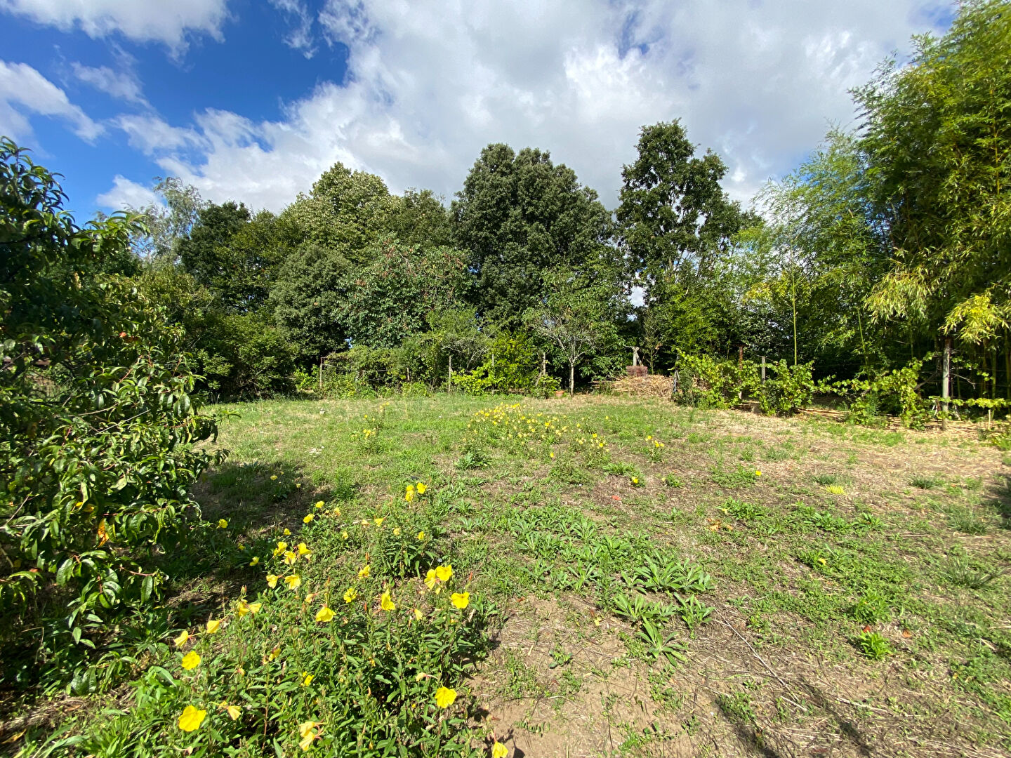 Terrain MACHECOUL SAINT MEME (44270) 863.00 m²