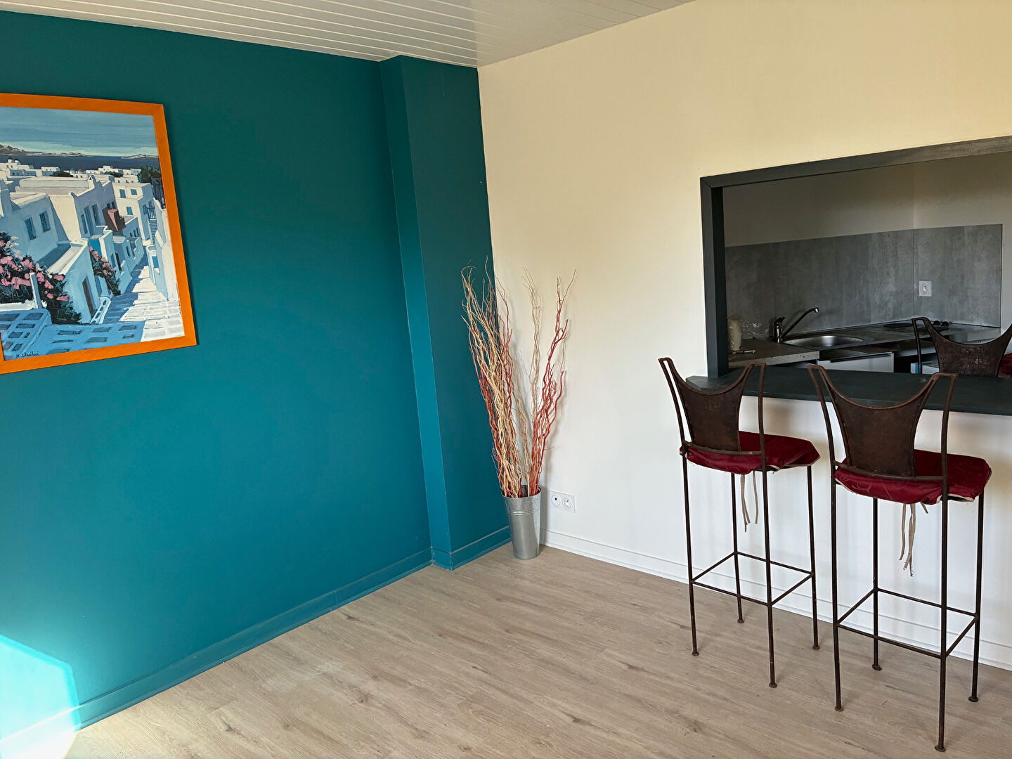 Appartement BEAUVOIR SUR MER (85230) 1 pièce 19.00 m²