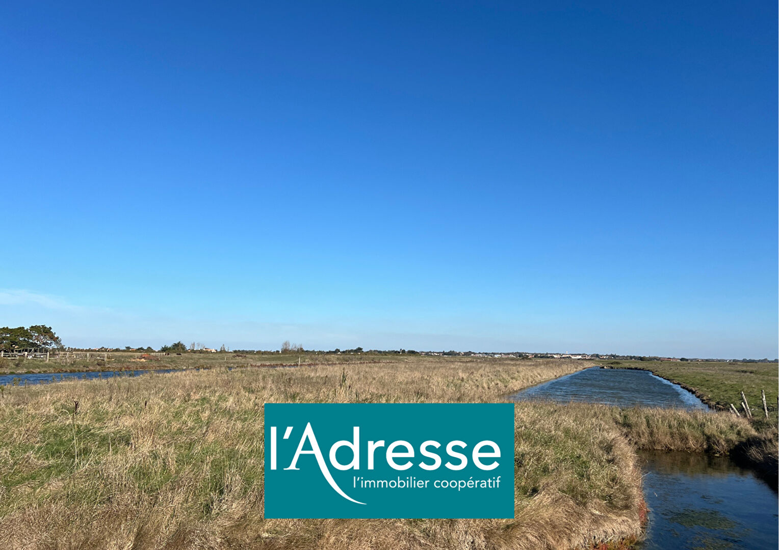 Terrain BEAUVOIR SUR MER (85230) 6448.00 m²