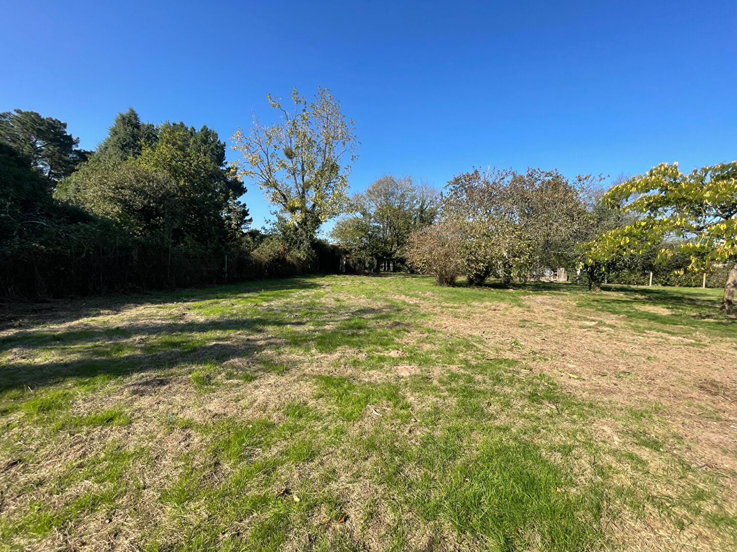 Terrain SAINT PHILBERT DE GRAND LIEU (44310) 1100.00 m²