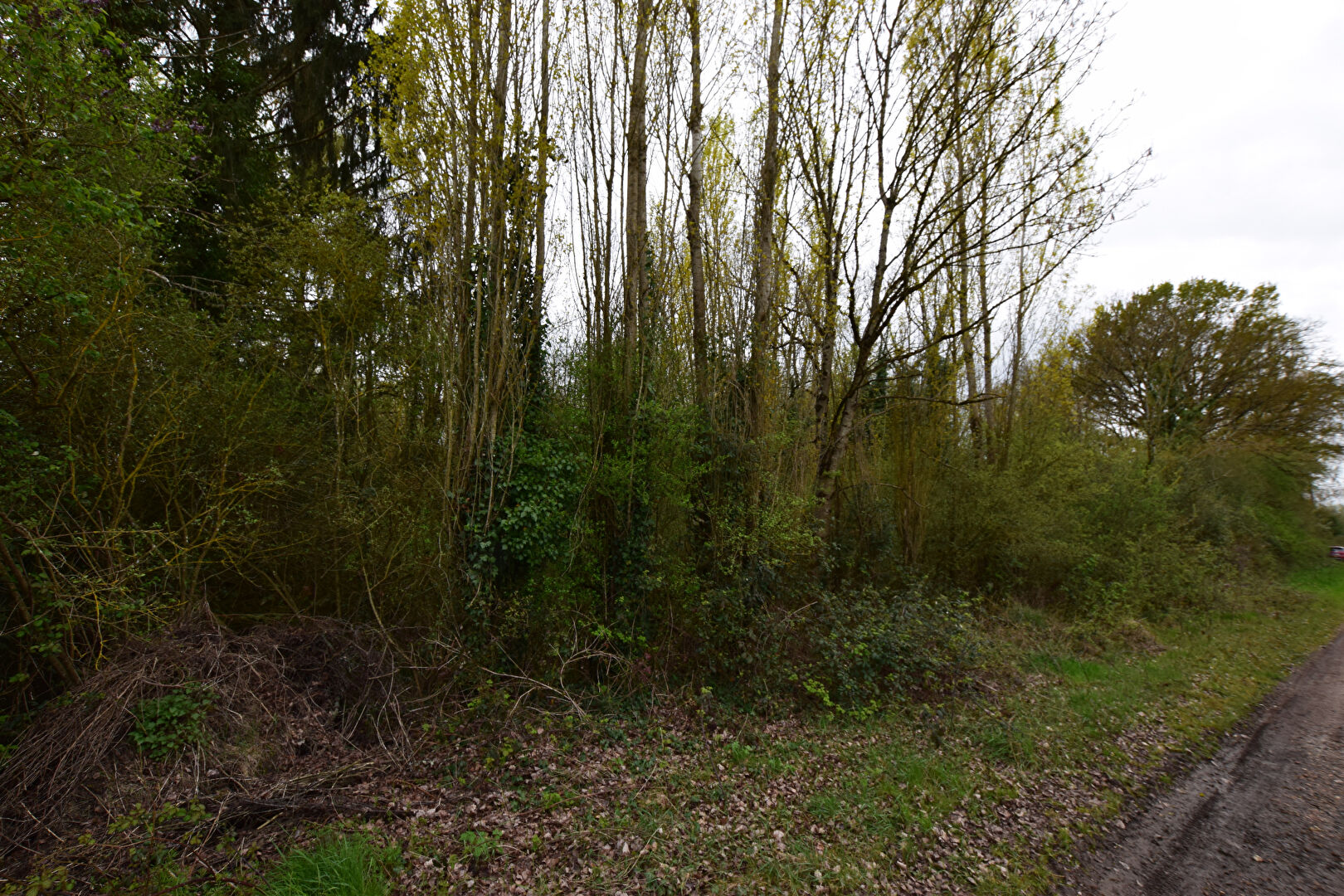Terrain SAINT OUEN EN BRIE (77720) 1060.00 m&sup2;
