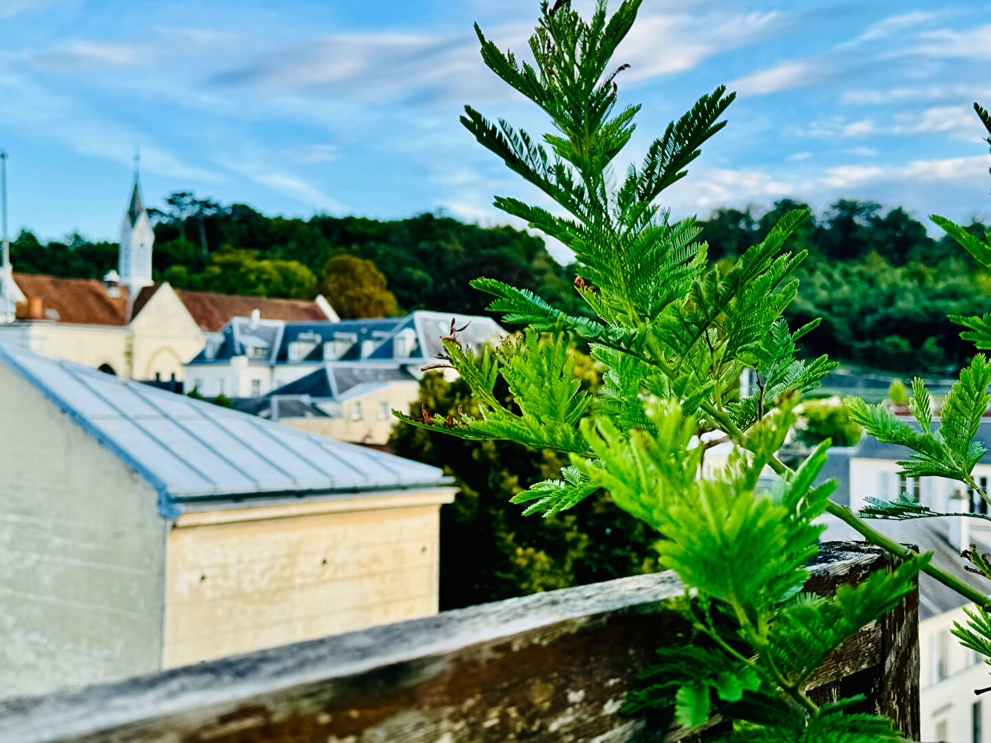 Appartement VERSAILLES (78000) 7 pi&egrave;ces 185.00 m&sup2;