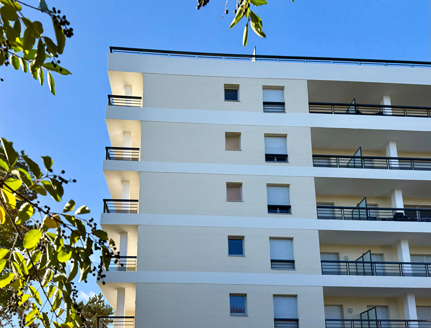 Appartement VERSAILLES (78000) 3 pièces 75.49 m²