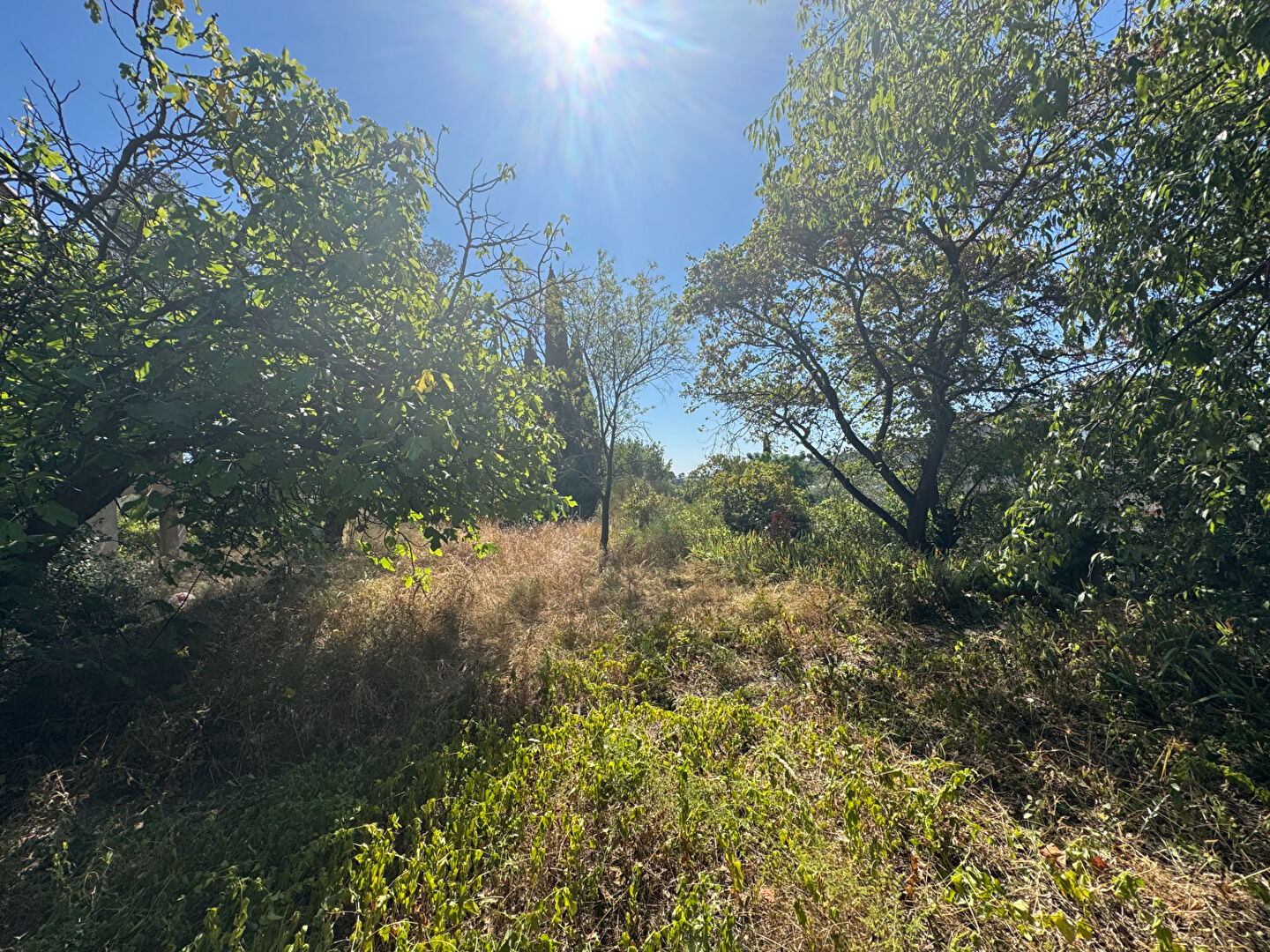 Terrain NIMES (30900) 343.00 m²