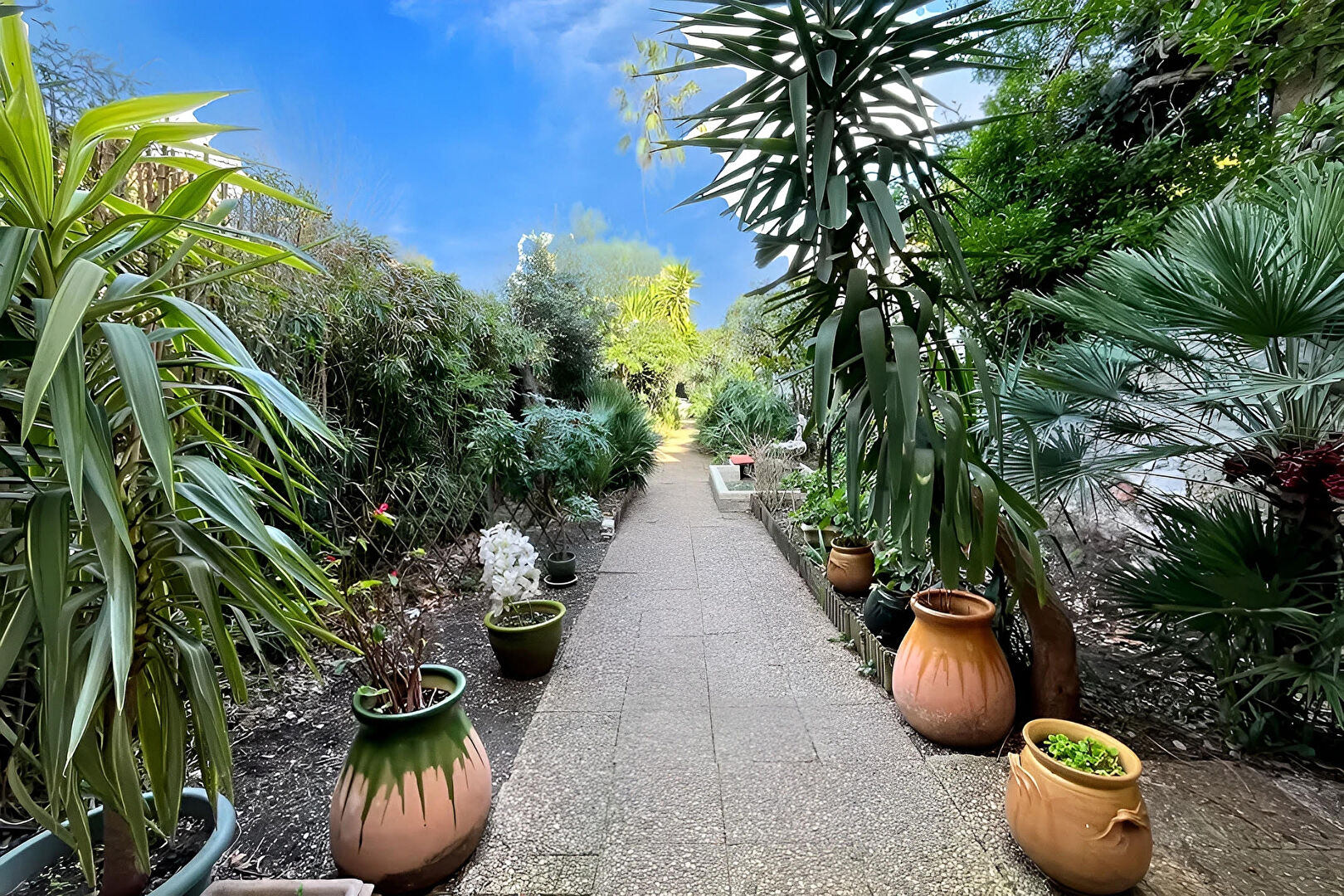 Maison FRONTIGNAN (34110) 6 pièces 205.90 m²