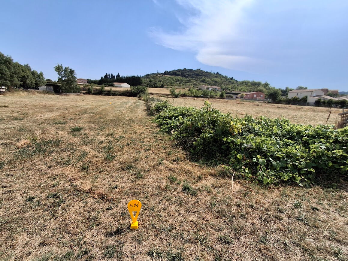 Terrain LE PRADAL (34600) 950.00 m²