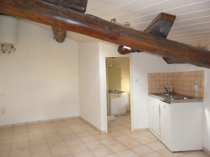 Appartement BEDARIEUX (34600) 1 pièce 14.20 m²