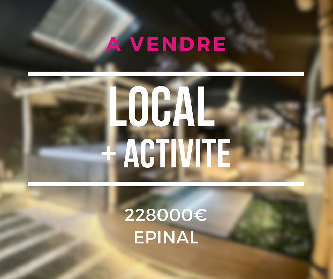 Local d'activit&eacute; EPINAL (88000) 1 pi&egrave;ce 94.00 m&sup2;