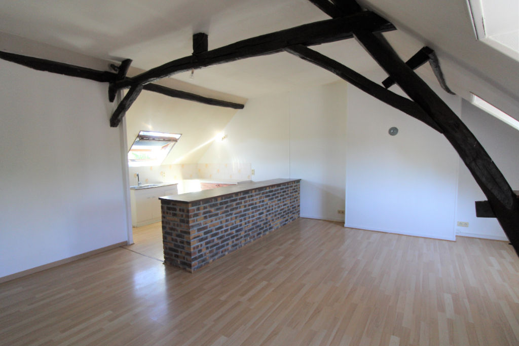 Appartement PONTLEVOY (41400) 3 pi&egrave;ces 60.65 m&sup2;