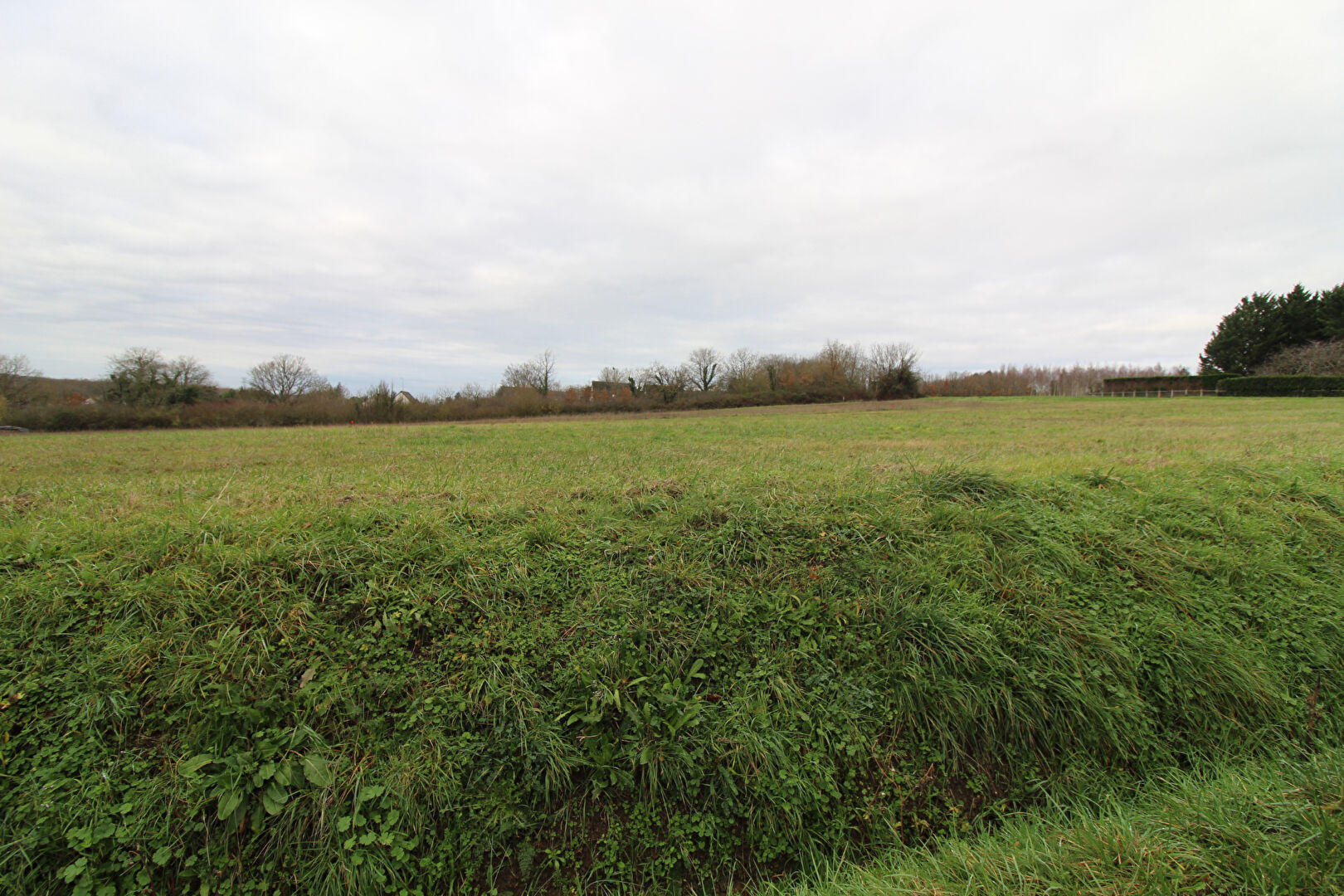 Terrain CHISSEAUX (37150) 990.00 m&sup2;