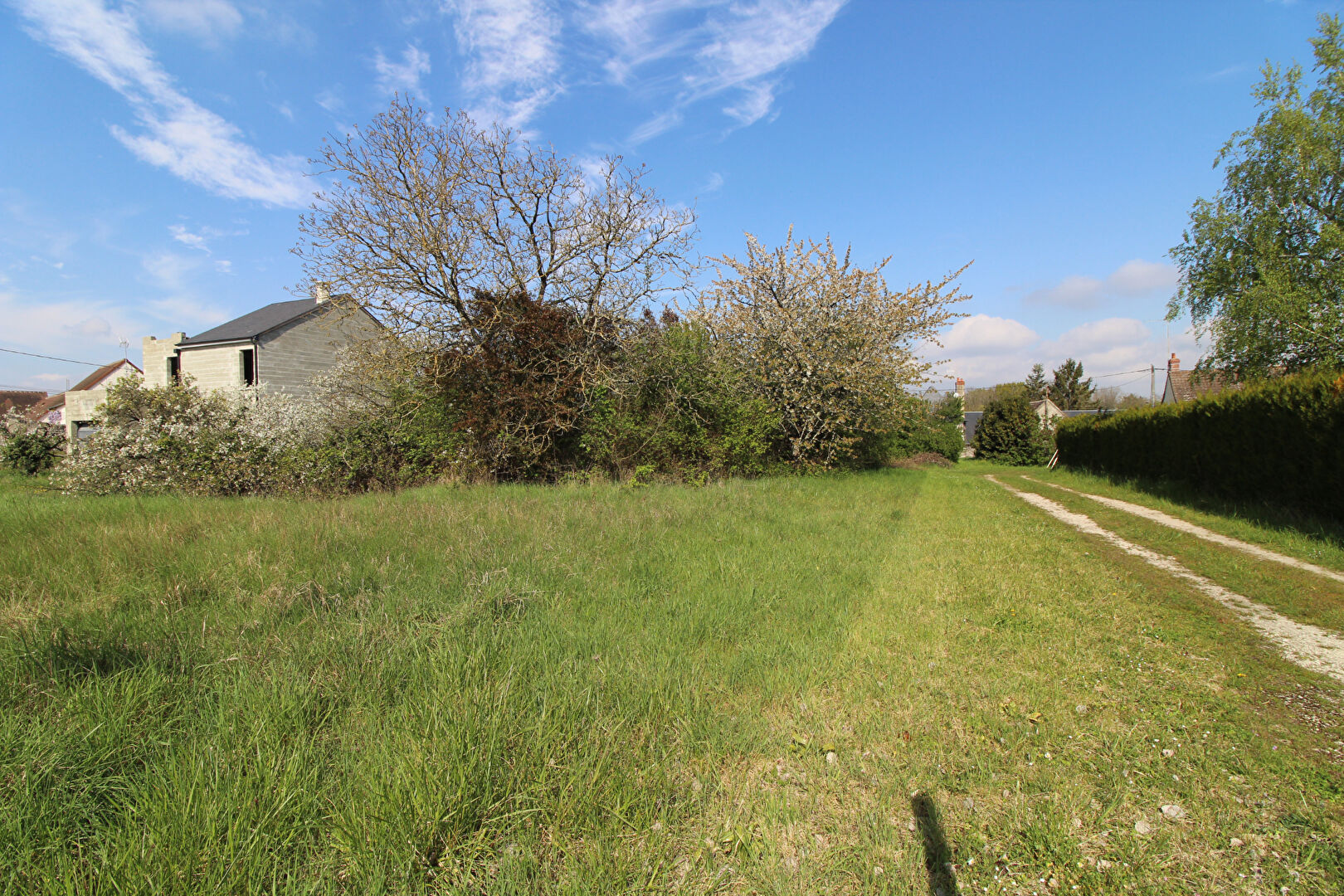 Terrain VINEUIL (41350) 650.00 m&sup2;