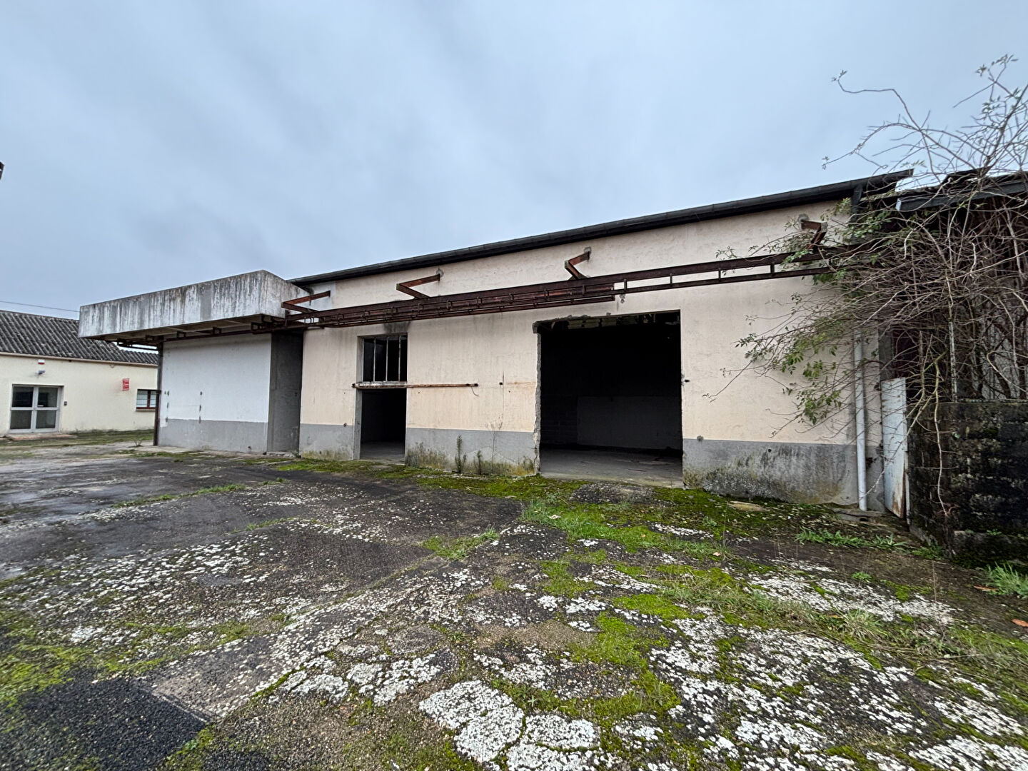 Local d'activité LE CONTROIS EN SOLOGNE (41700) 263.00 m²