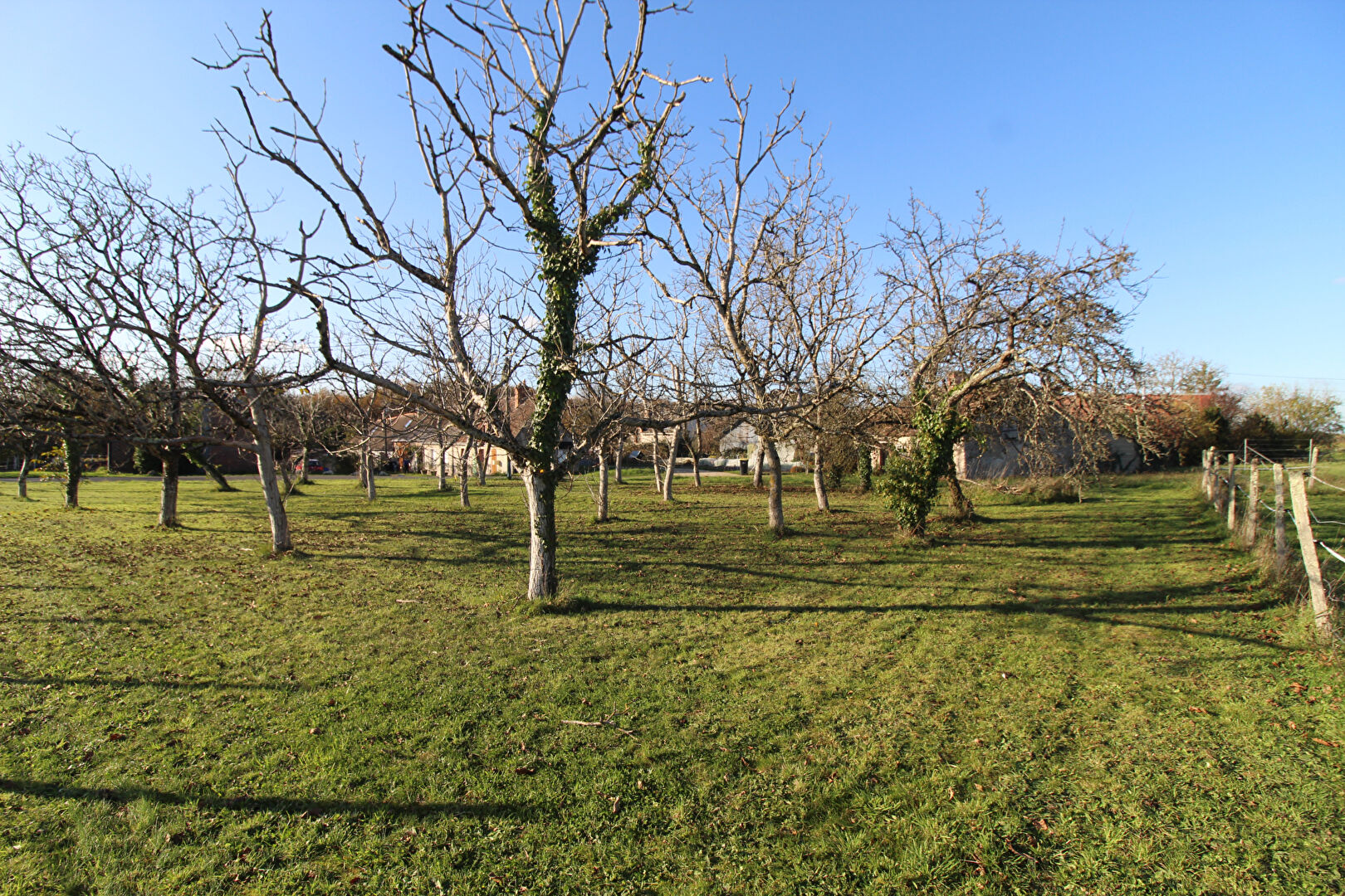 Terrain MONTEAUX (41150) 980.00 m²