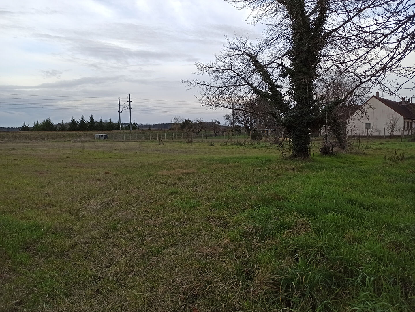 Terrain Noyers sur Cher (41140) 3116.00 m²