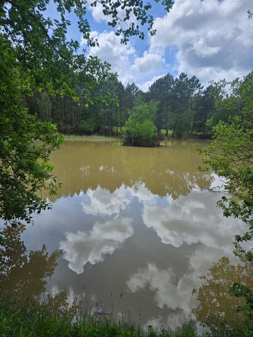 Etang CERE LA RONDE (37460)