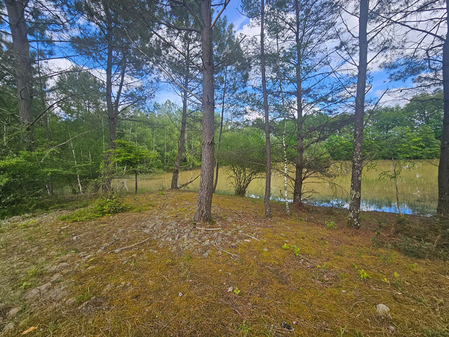 Etang CERE LA RONDE (37460)