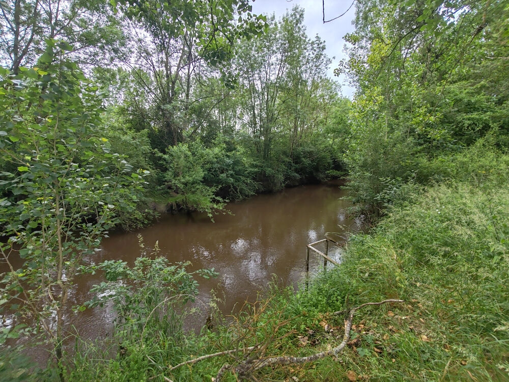 achat-terrain-de-loisirs-pi-ce-cand-sur-beuvron-2385-00m-14000-l