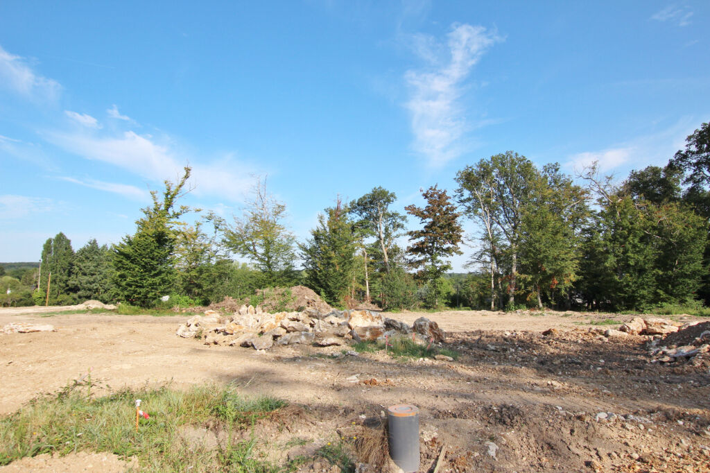 Terrain CELLETTES (41120) 714.00 m&sup2;