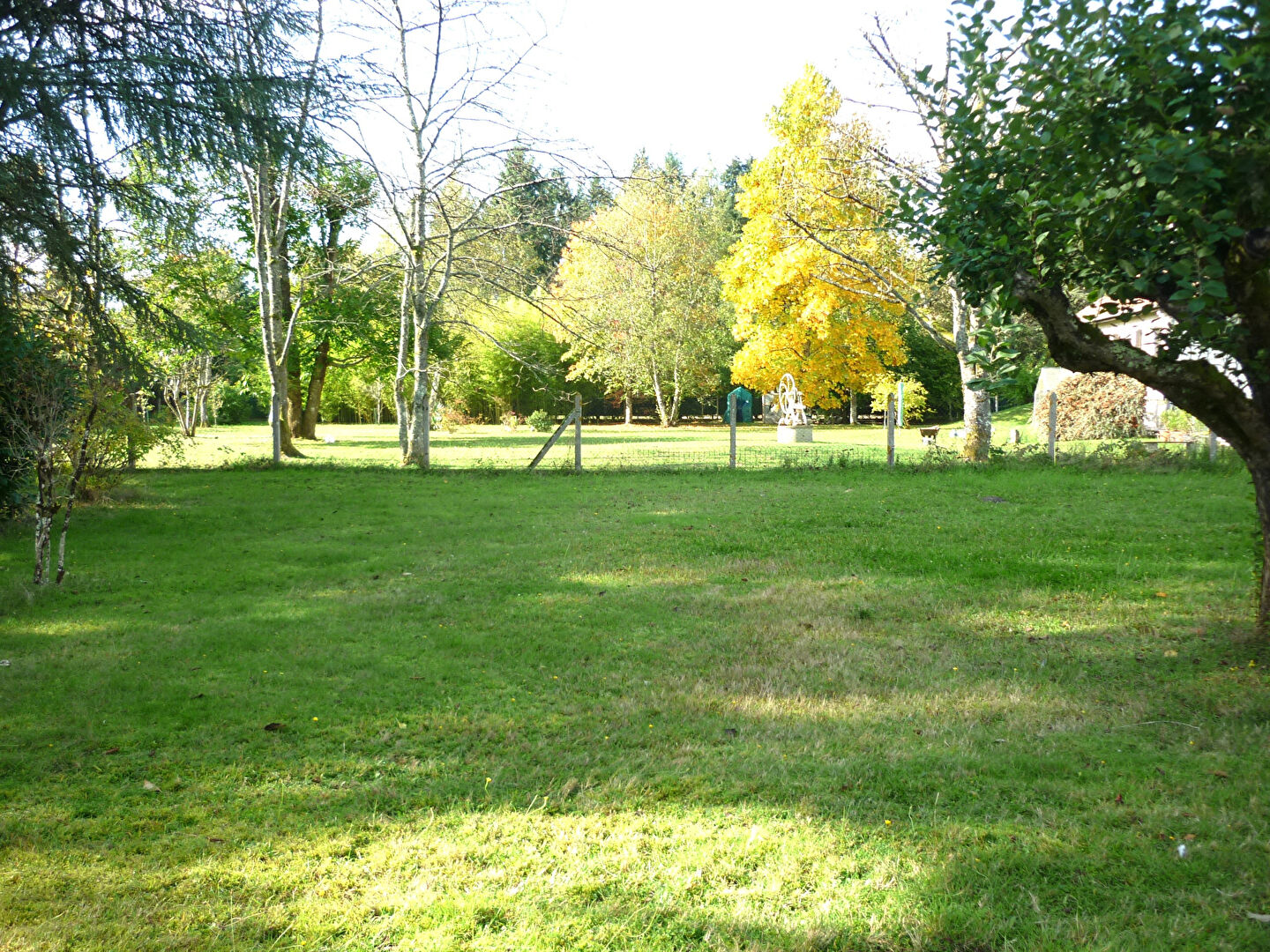 Terrain VOUZON (41600) 1469.00 m&sup2;