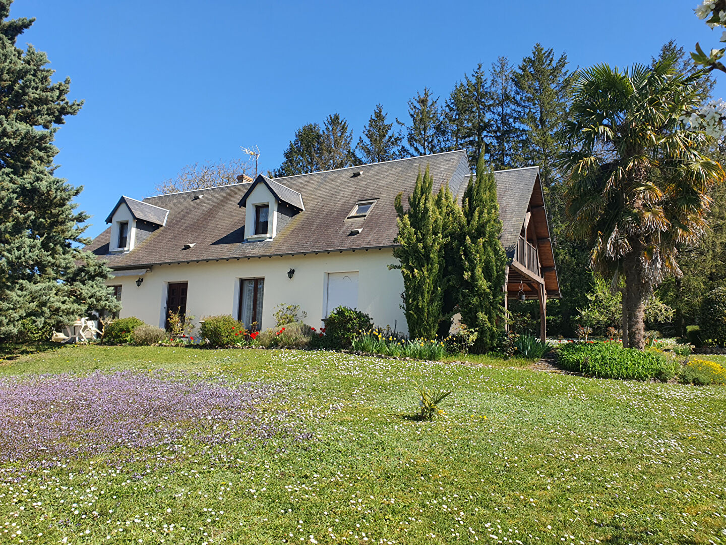 Maison SEIGY (41110) 6 pièces 167.00 m²