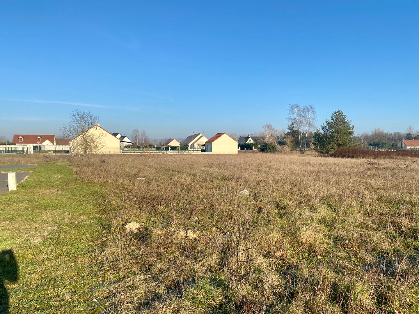 Terrain LE CONTROIS EN SOLOGNE (41700) 720.00 m&sup2;