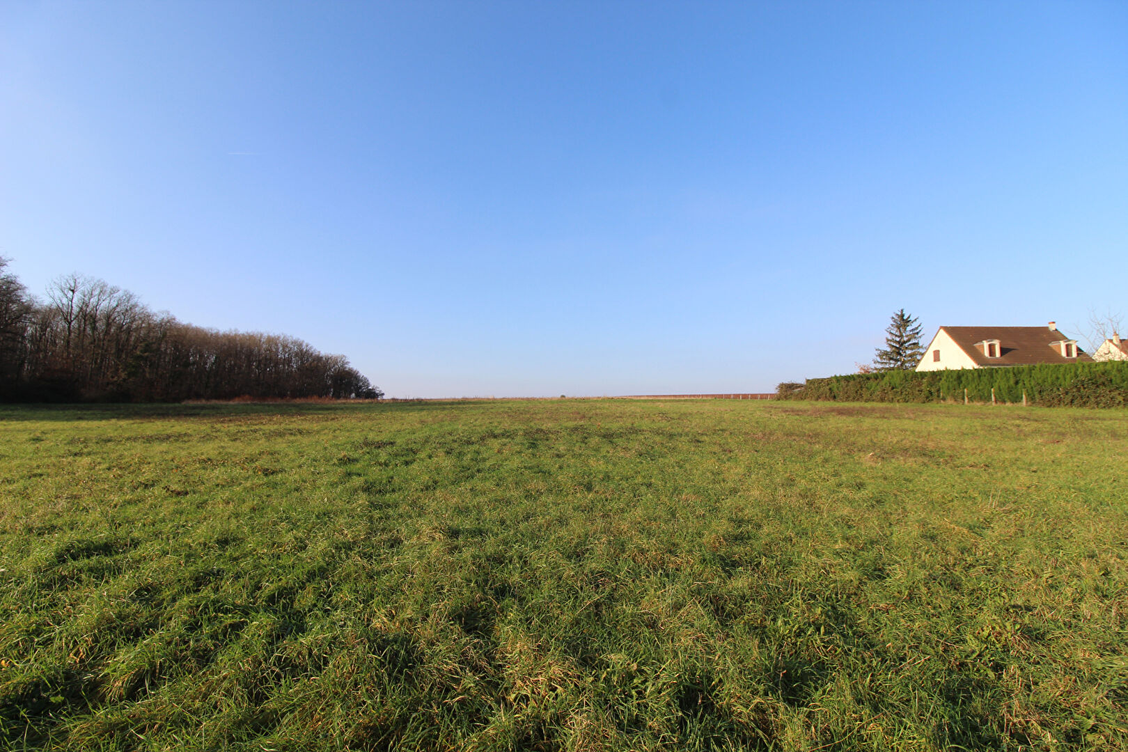 Terrain MESLAND (41150) 1598.00 m²