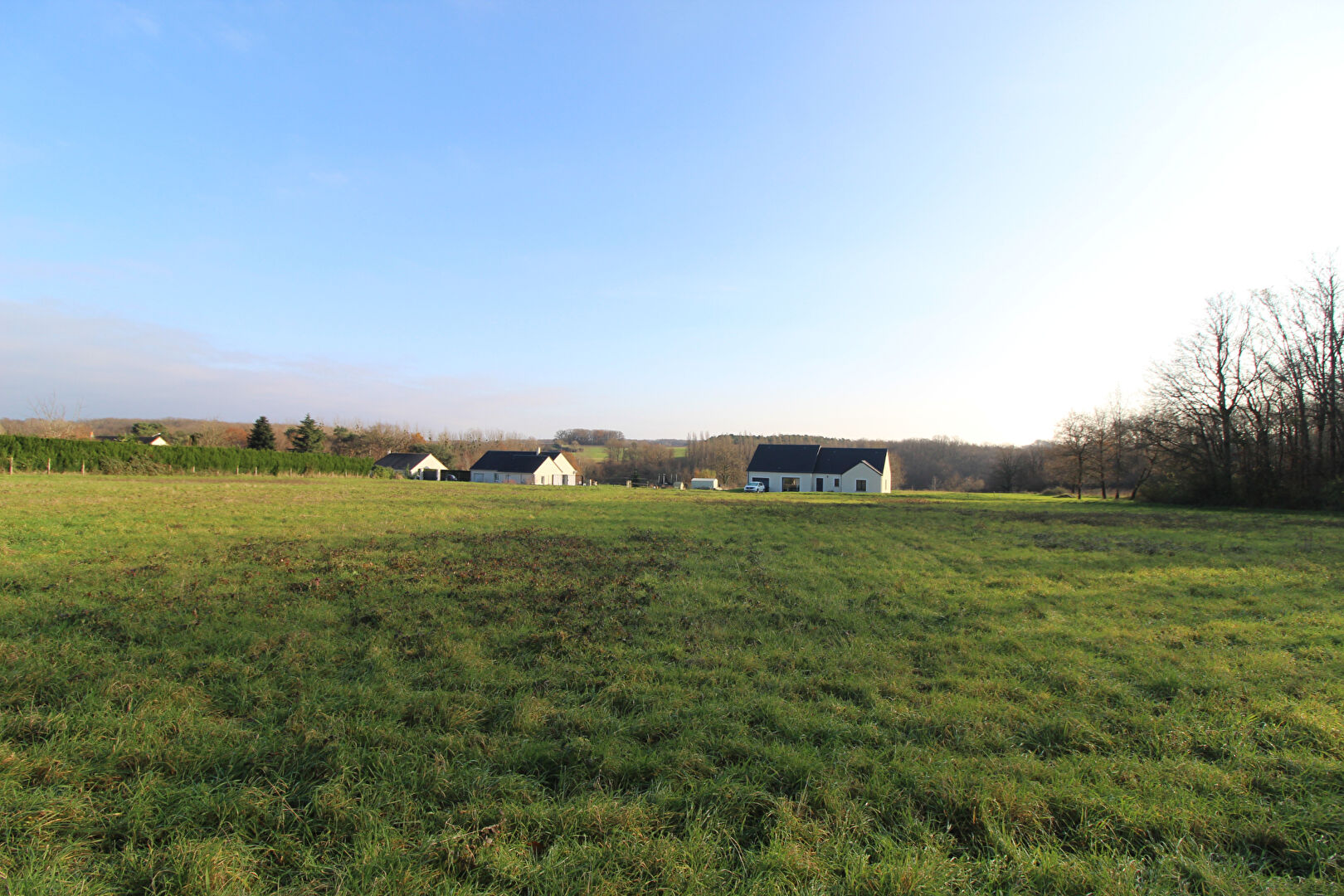 Terrain MESLAND (41150) 1598.00 m²