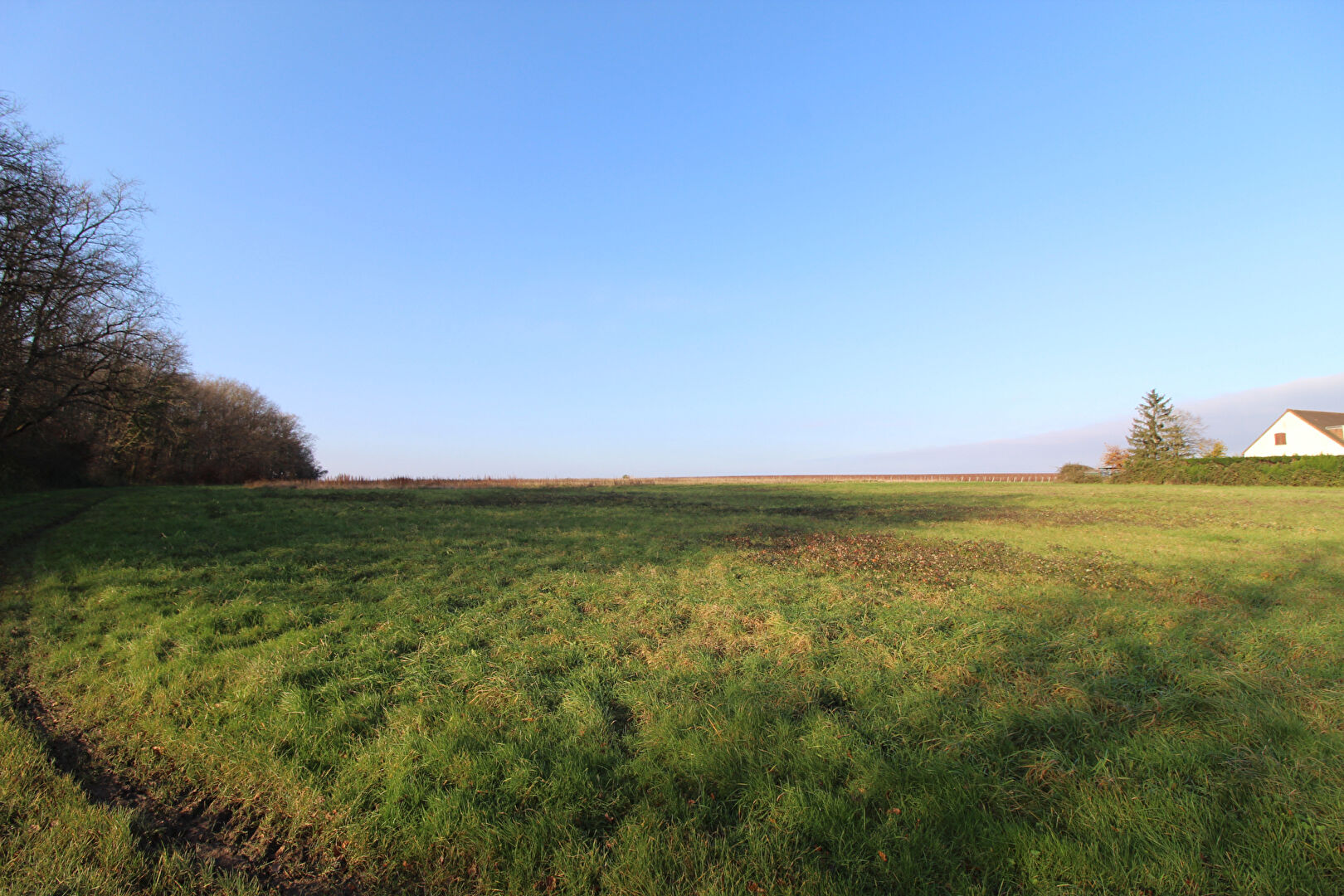 Terrain MESLAND (41150) 1598.00 m²