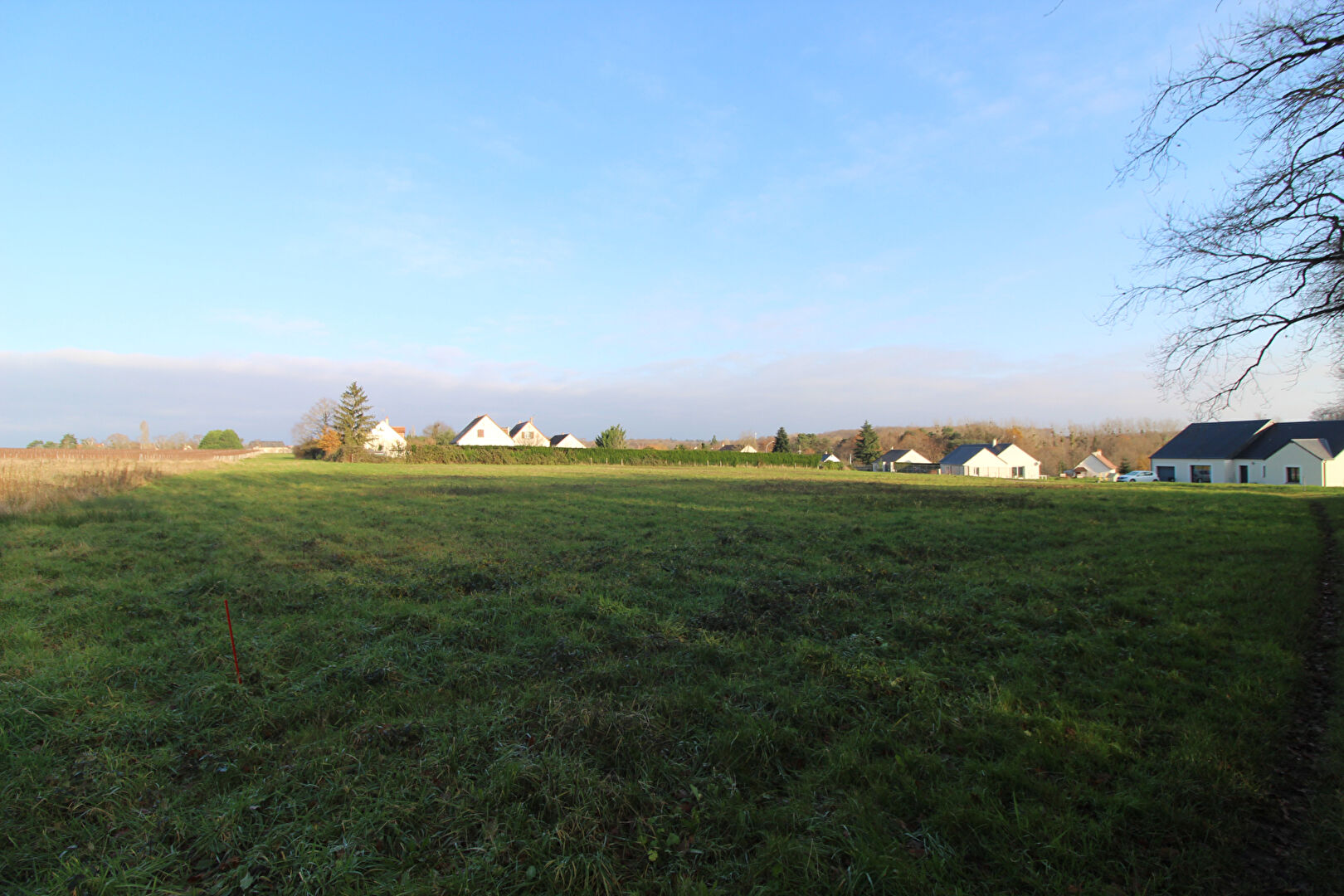 Terrain MESLAND (41150) 1598.00 m²