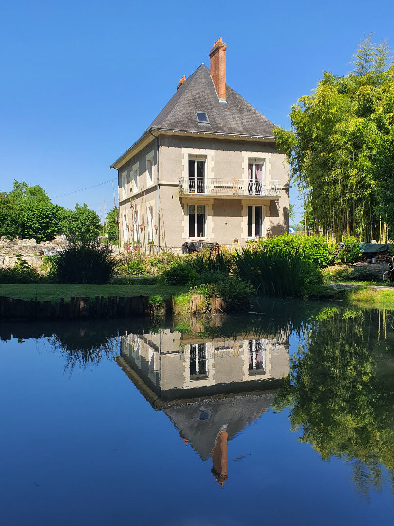 Moulin COUFFY (41110) 11 pièces 390.00 m²