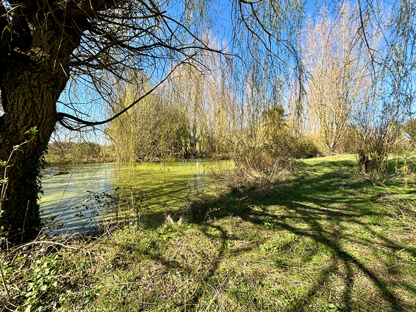 Maison LE CONTROIS EN SOLOGNE (41700) 9 pièces 249.75 m²