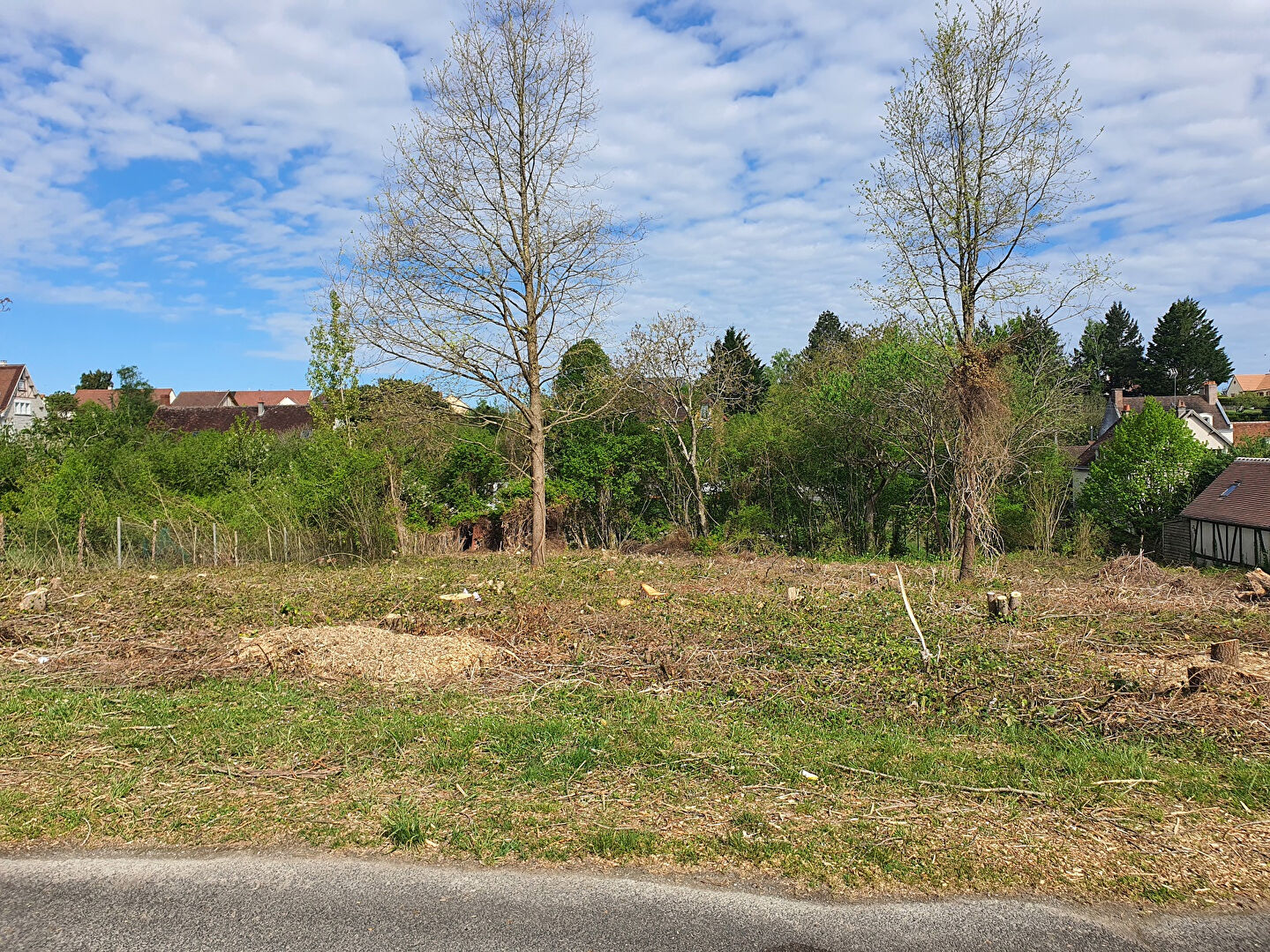 Terrain SAINT AIGNAN (41110) 1946.00 m&sup2;