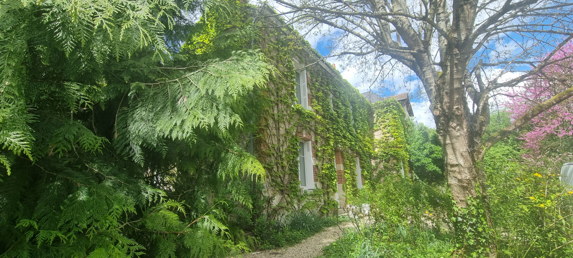 Maison BLOIS (41000) 6 pi&egrave;ces 142.00 m&sup2;