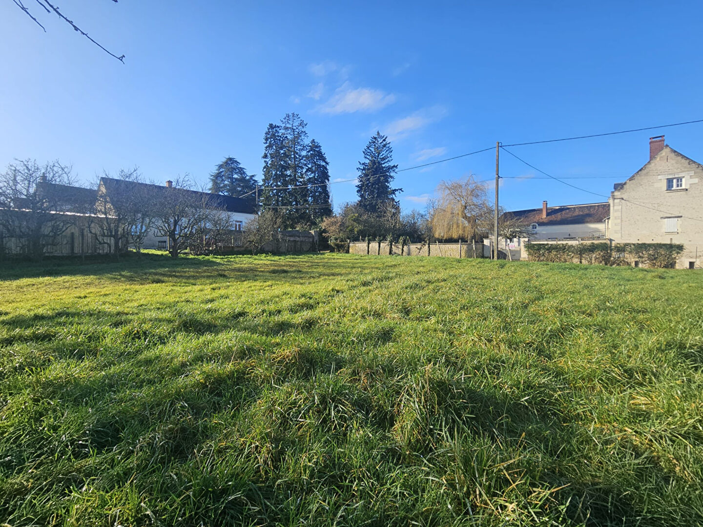 Terrain SAINT GEORGES SUR CHER (41400) 1803.00 m²