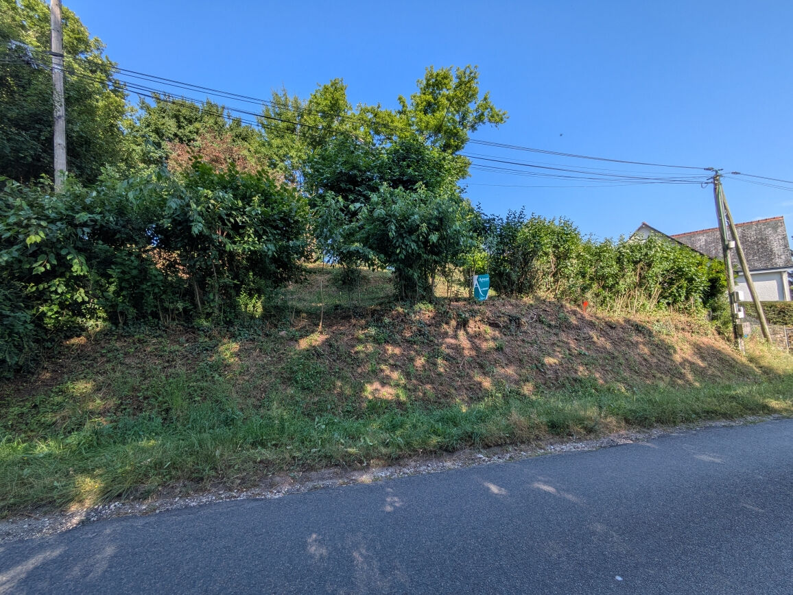 Terrain VEUZAIN SUR LOIRE (41150) 930.00 m²