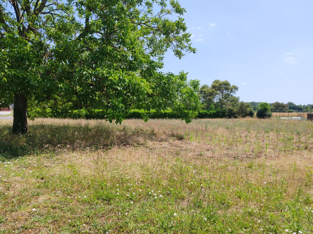 Terrain SEUR (41120) 821.00 m²