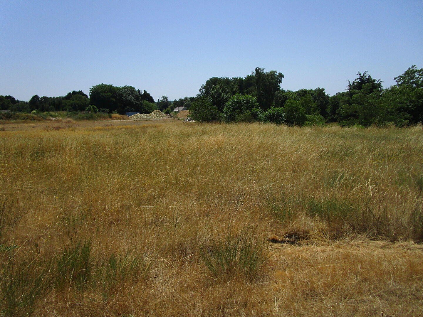 Terrain THESEE (41140) 1301.00 m²