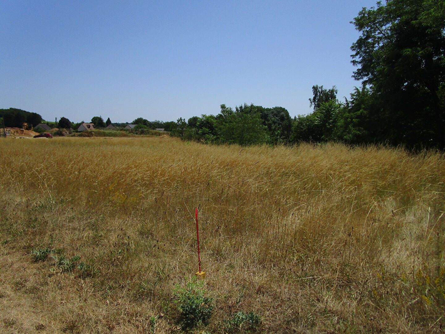 Terrain THESEE (41140) 1489.00 m²
