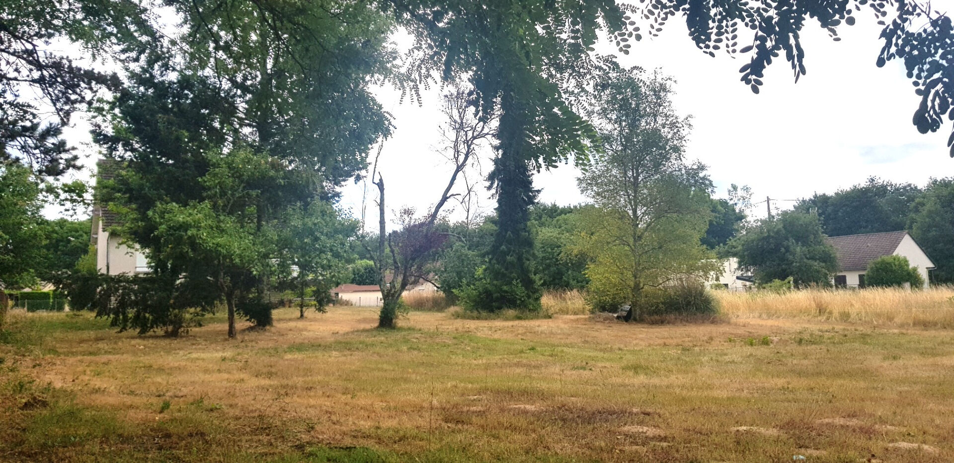 Terrain LAMOTTE BEUVRON (41600) 860.00 m²