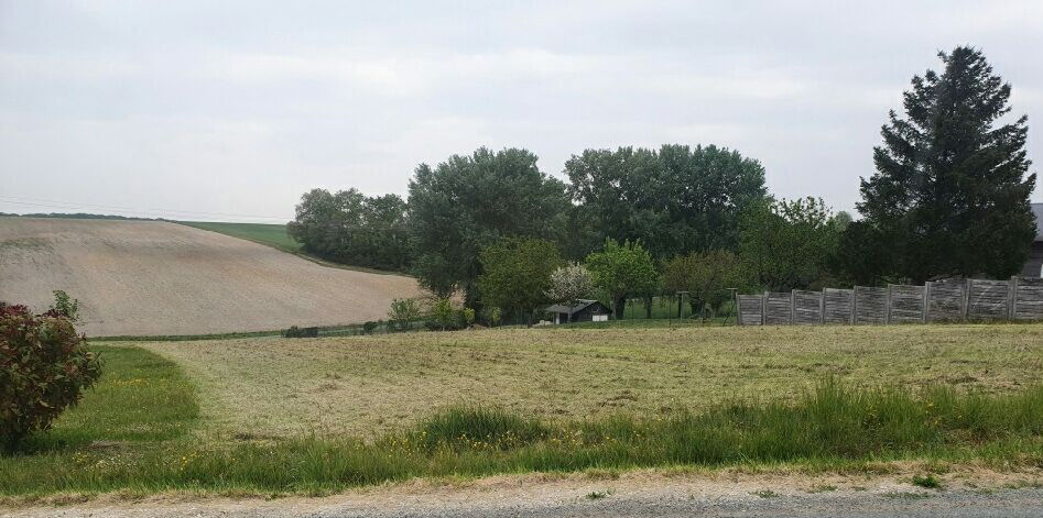 Terrain CERE LA RONDE (37460) 2744.00 m²